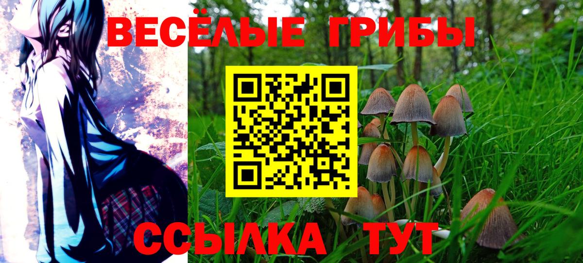 Кохма  Псилоцибиновые грибы прущие грибы  Галлюциногенные грибы прущие грибы  Вход с VPN 